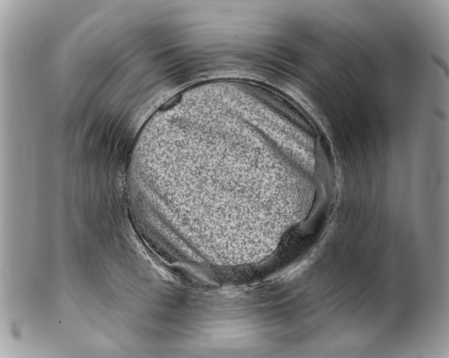 X0000099500993200806051118