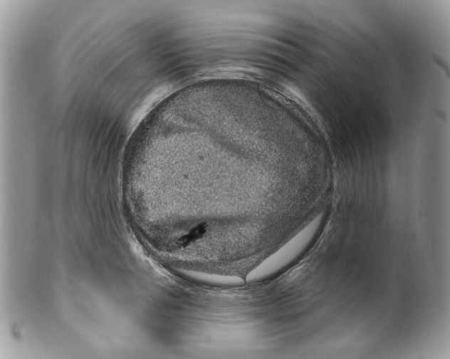 X0000099500994200806051118