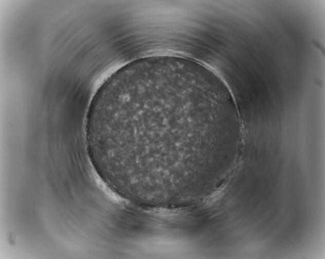 X0000099500995200806051118