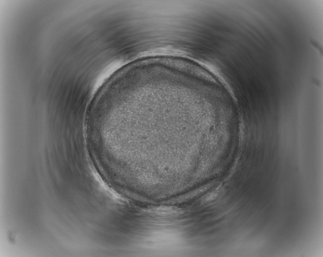 X0000099500998200806051118