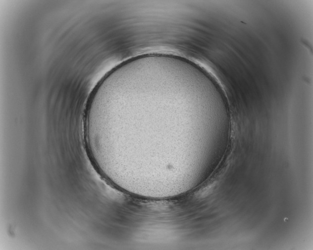 X0000099500999200806051118