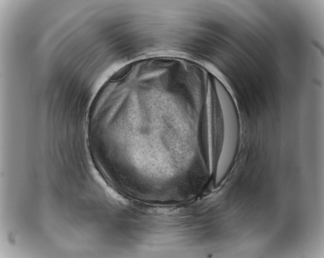 X0000099501005200806051118