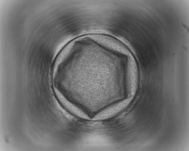 X0000099501006200806051118