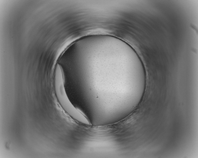 X0000099501008200806051118