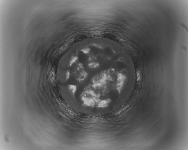 X0000099501011200806051117