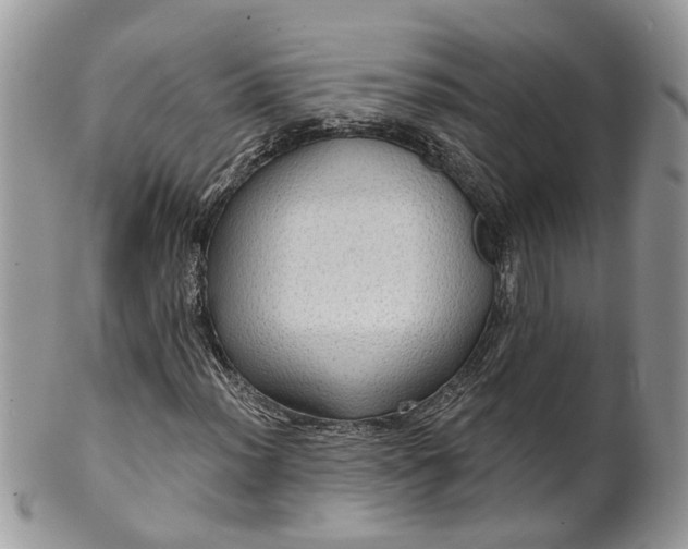 X0000099501012200806051117