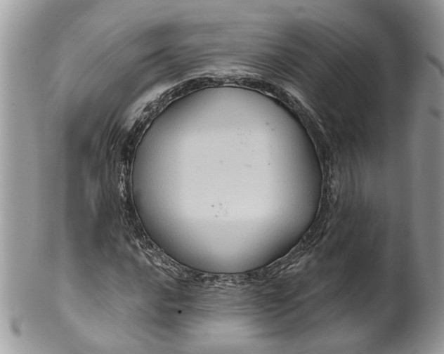 X0000099501016200806051117