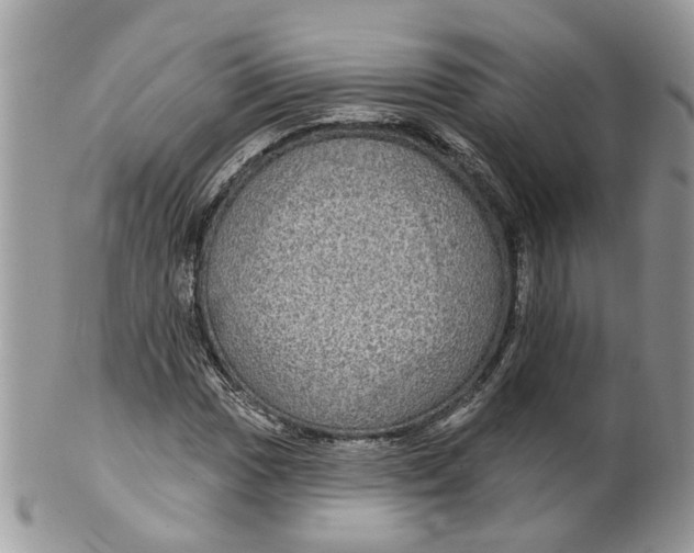 X0000099501017200806051117