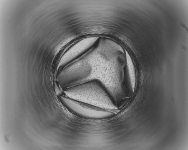 X0000099501018200806051117