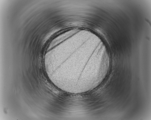 X0000099501019200806051118