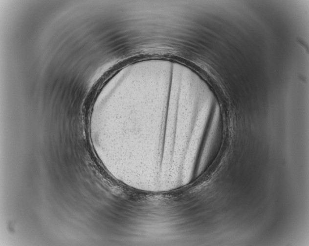 X0000099501022200806051118