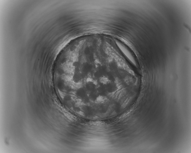 X0000099501023200806051118