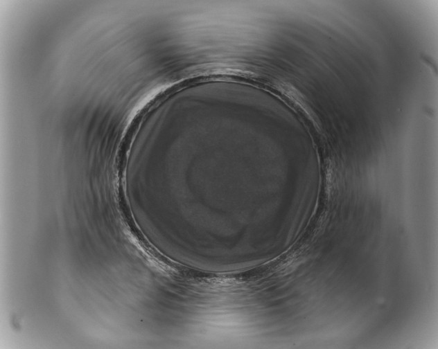 X0000099501024200806051118