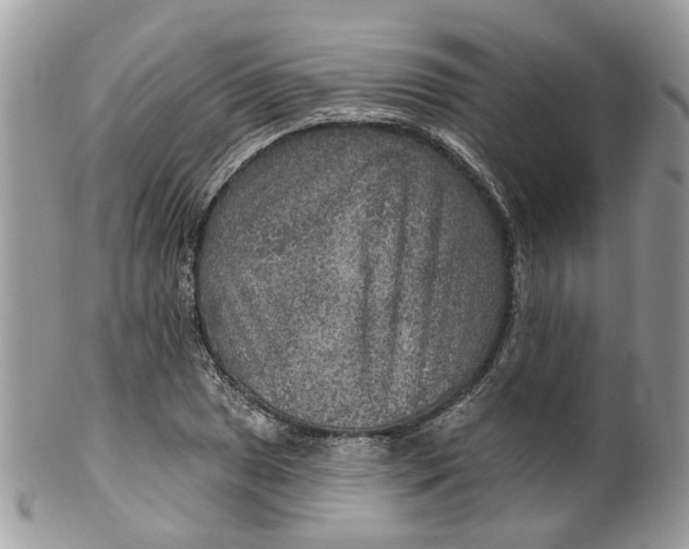 X0000099501025200806051118