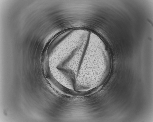 X0000099501026200806051118