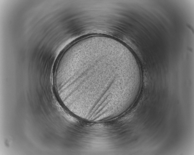 X0000099501028200806051118