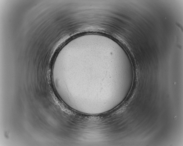 X0000099501029200806051118