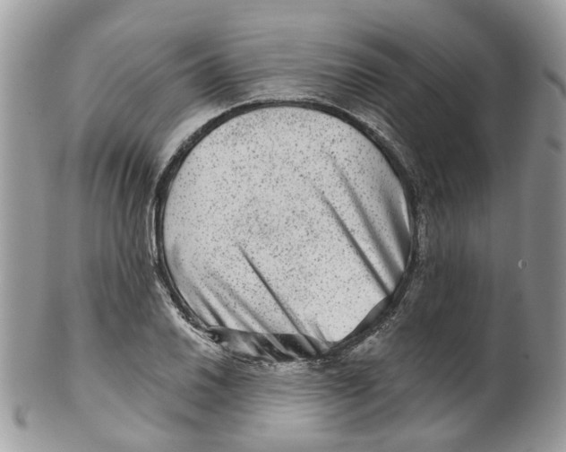 X0000099501030200806051118