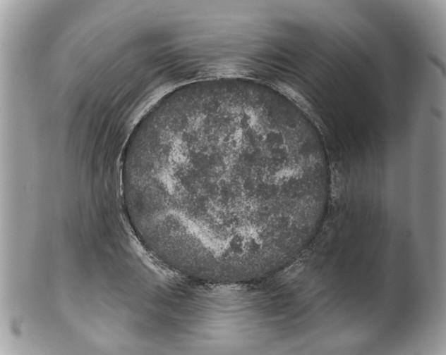 X0000099501031200806051118