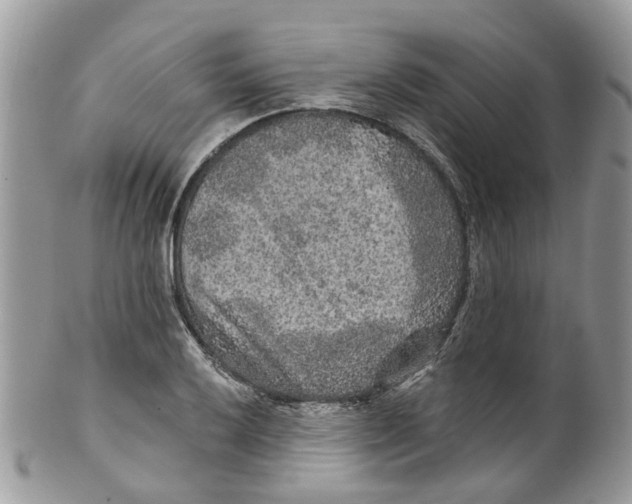 X0000099501032200806051118