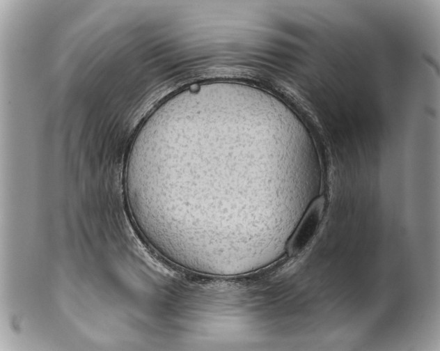 X0000099501033200806051118