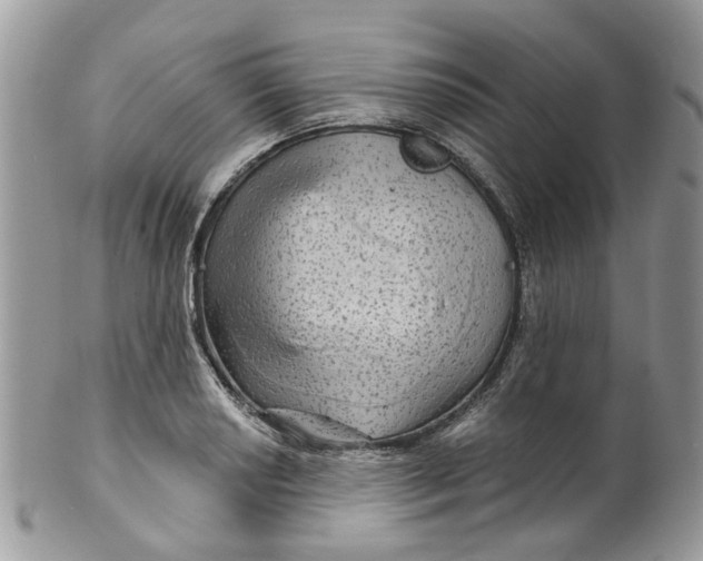 X0000099501034200806051118