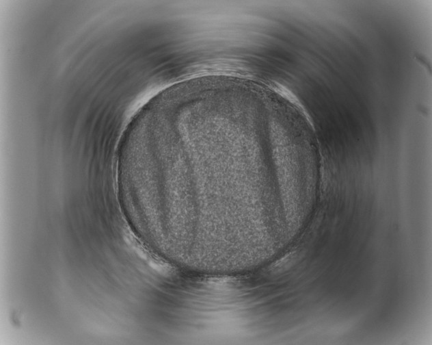 X0000099501035200806051118