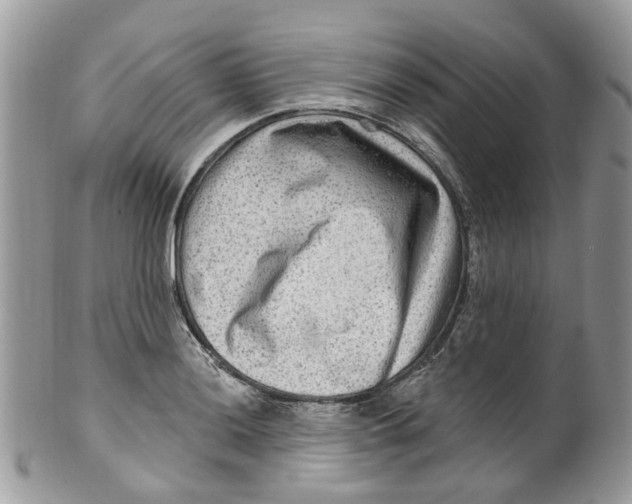 X0000099501036200806051118