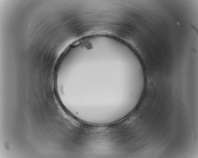 X0000099501038200806051118