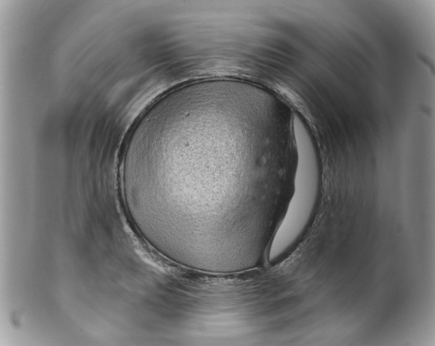 X0000099501039200806051118