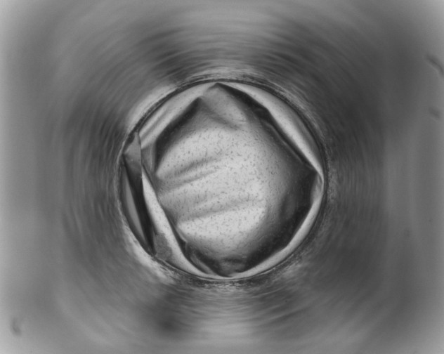 X0000099501042200806051118