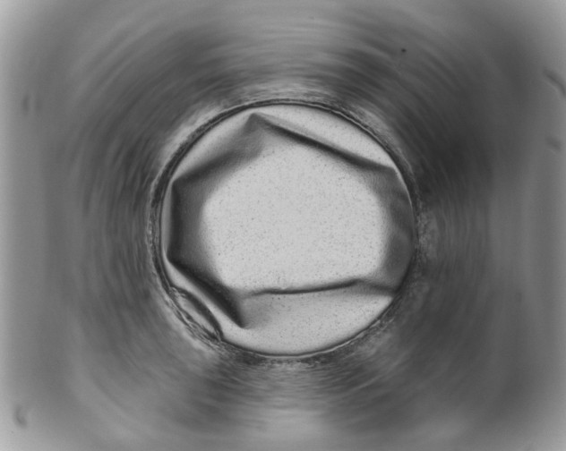 X0000099501043200806051118