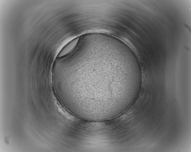 X0000099501044200806051118