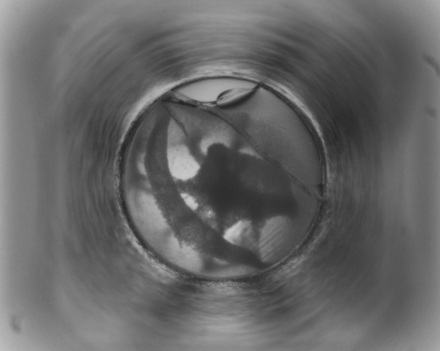 X0000099501045200806051118