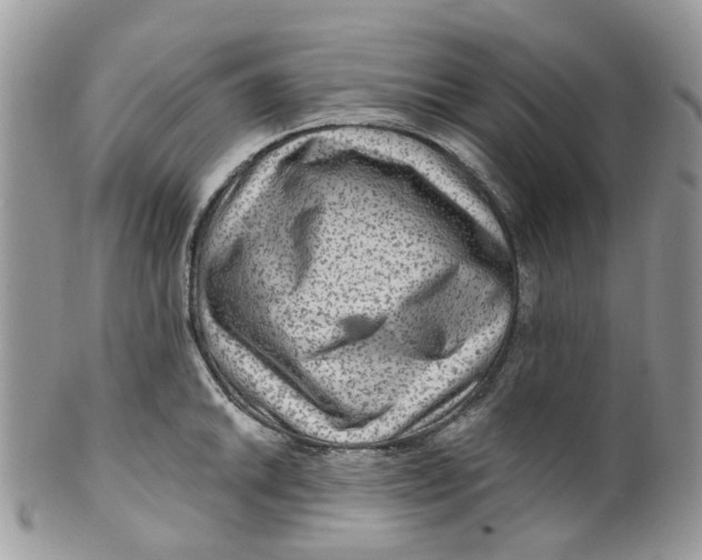 X0000099501046200806051118