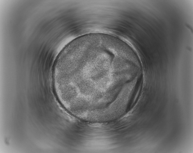 X0000099501048200806051118