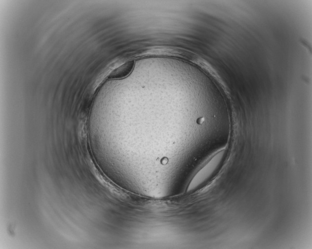 X0000099501049200806051118