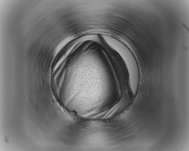 X0000099501050200806051118