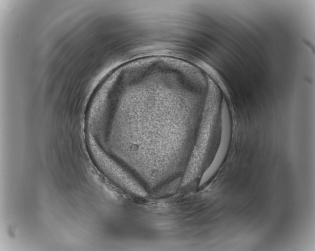 X0000099501051200806051118