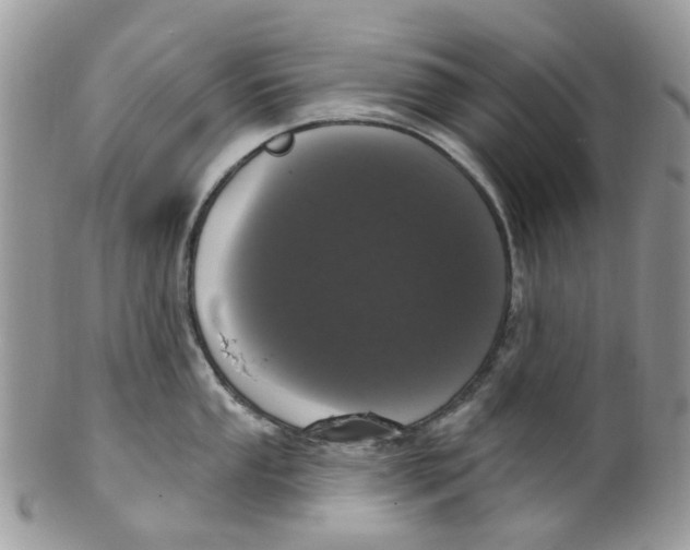 X0000099501053200806051118