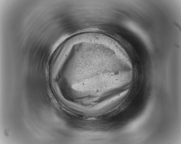 X0000099501054200806051118