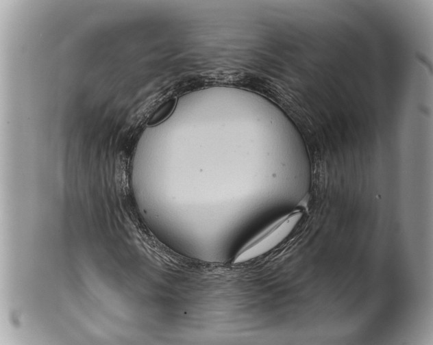 X0000099501058200806051117