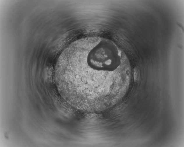 X0000099501059200806051117