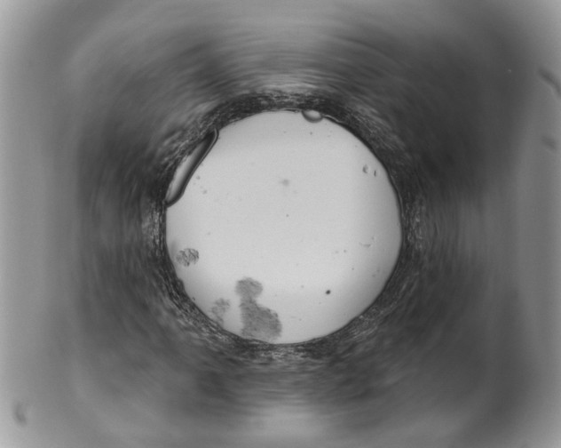 X0000099501061200806051117