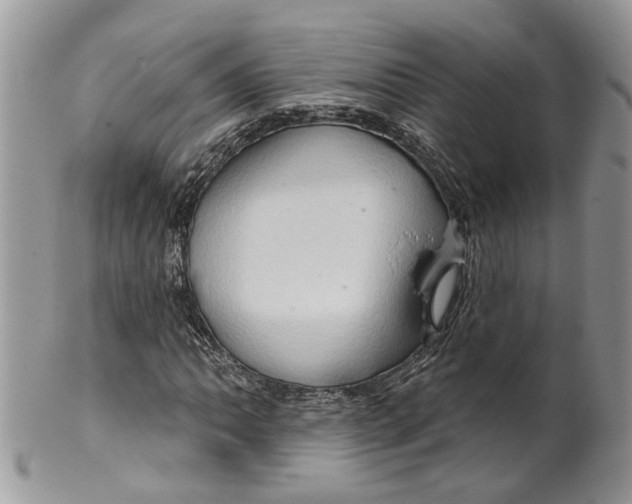 X0000099501062200806051117