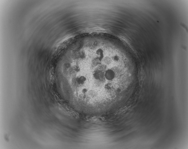 X0000099501063200806051117