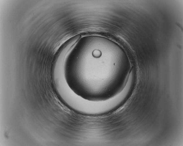 X0000099501065200806051117