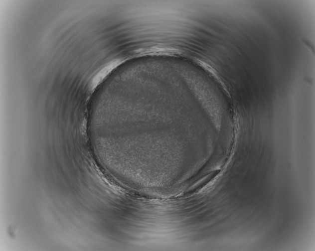 X0000099501066200806051117