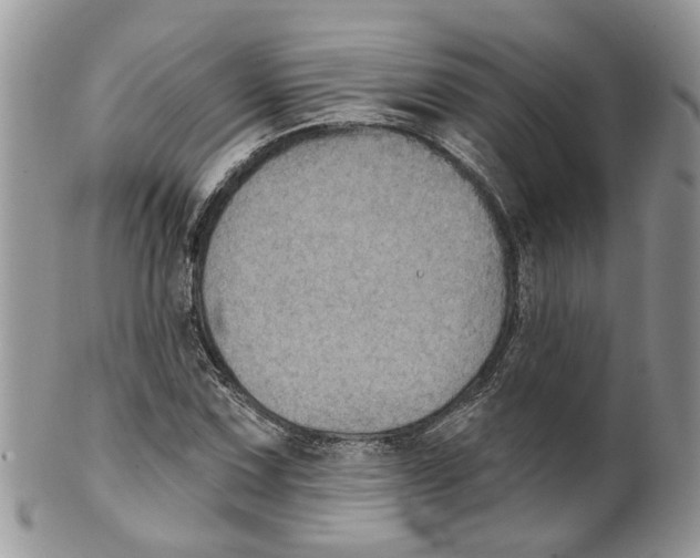 X0000099501067200806051117