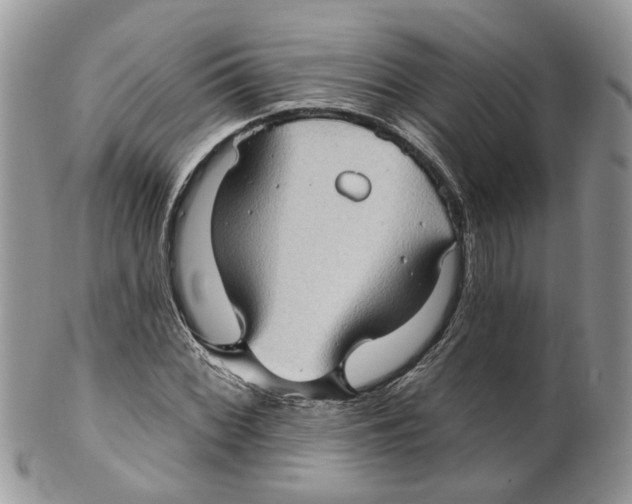 X0000099501068200806051117